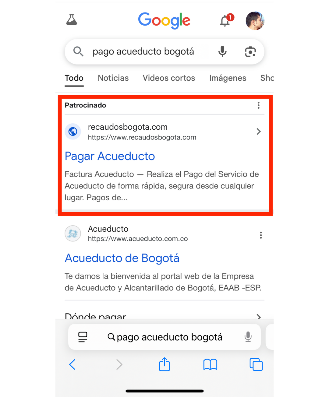 Otro anuncio patrocinado en Google con un dominio fraudulento