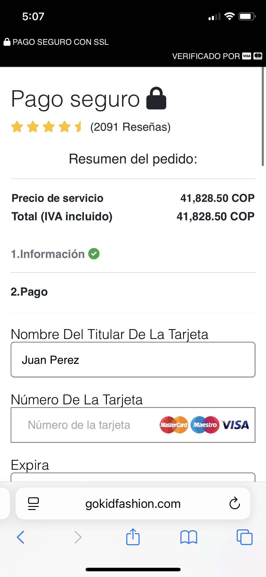 Sección final del formulario de pago falso