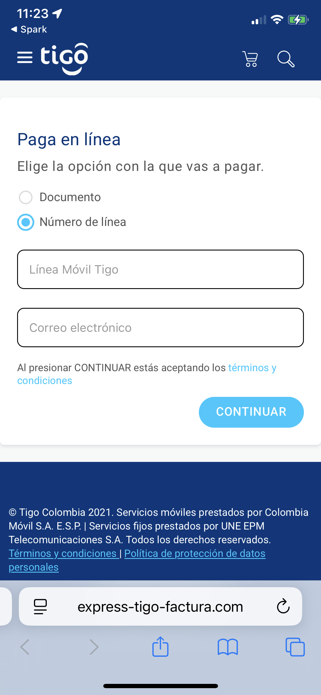 Pantalla de selección de método de pago en plataforma falsa