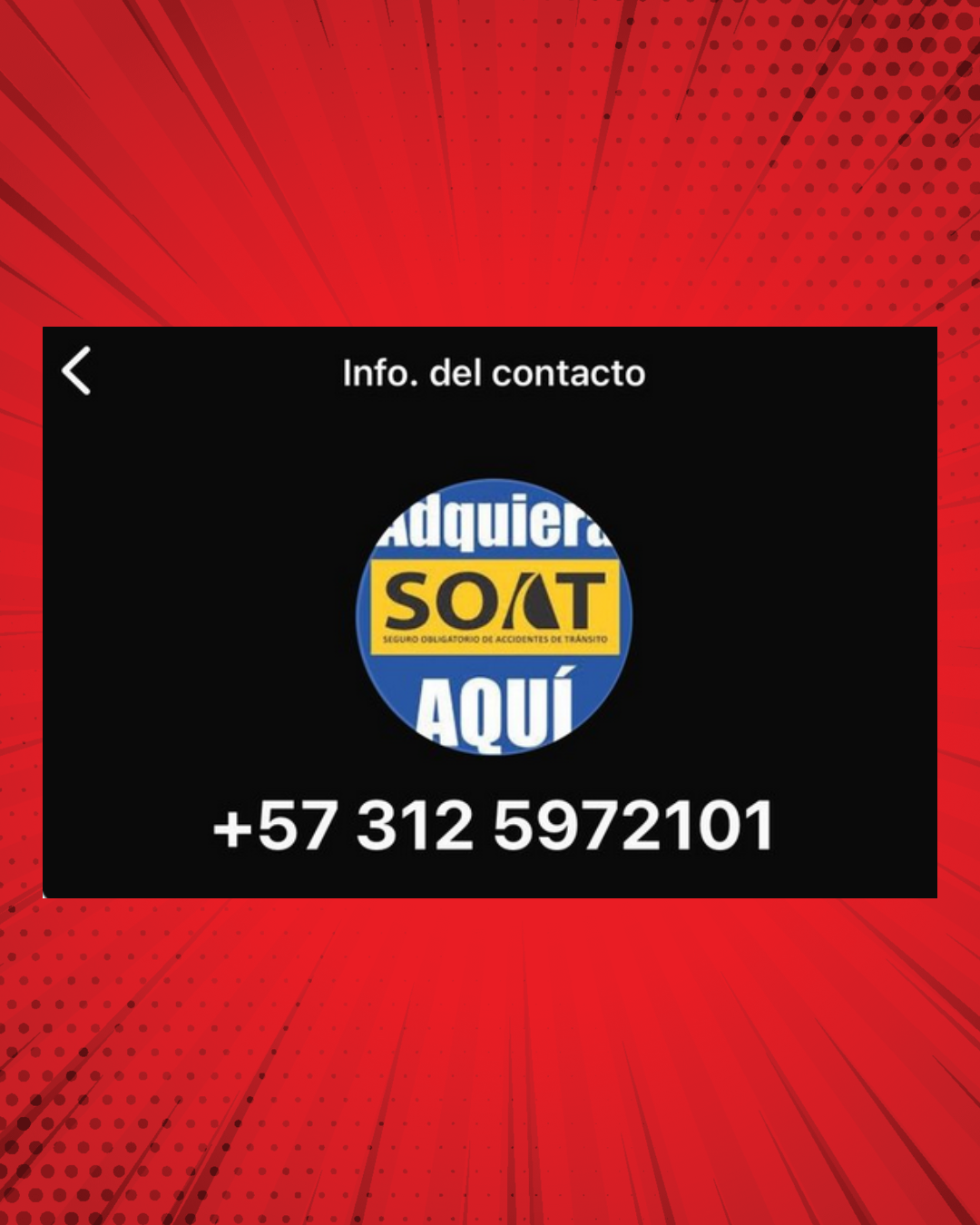 Captura de WhatsApp de falsa compañía de seguros pidiendo cédula y placa