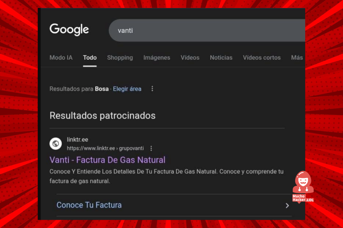Captura portal de inicio falso, solicita documento de identidad y número.